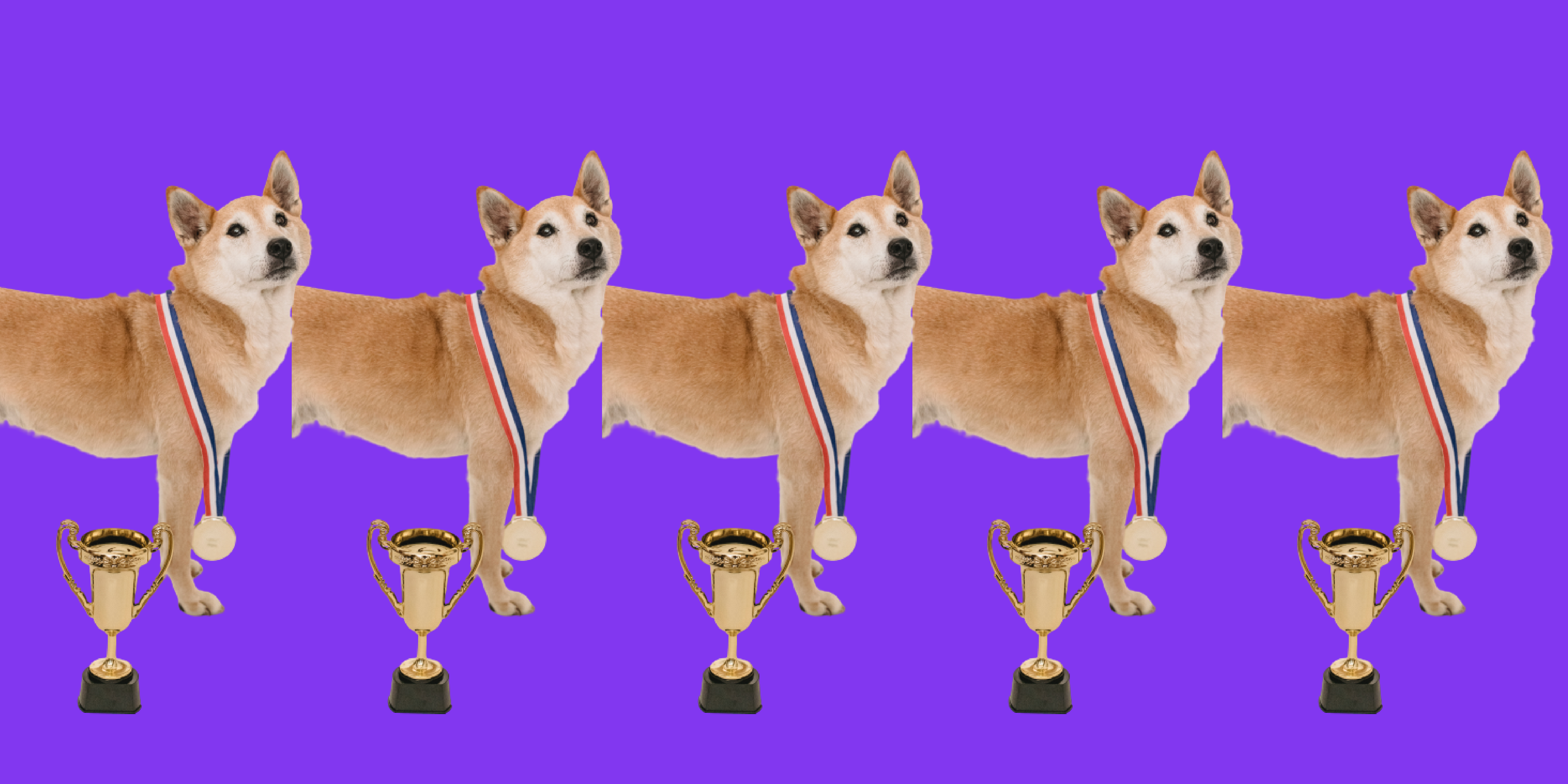 op 5 zakelijk glasvezel providers van 2023 | Greatwaves