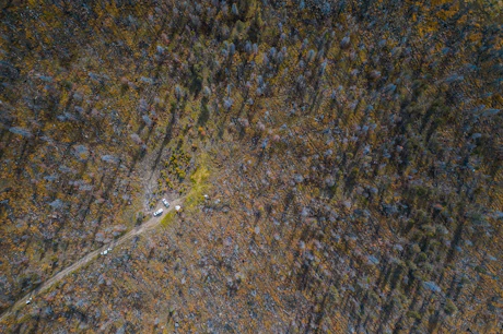 Afbeelding bij artikel BOOM! Onze bomen gaan mega lekker…