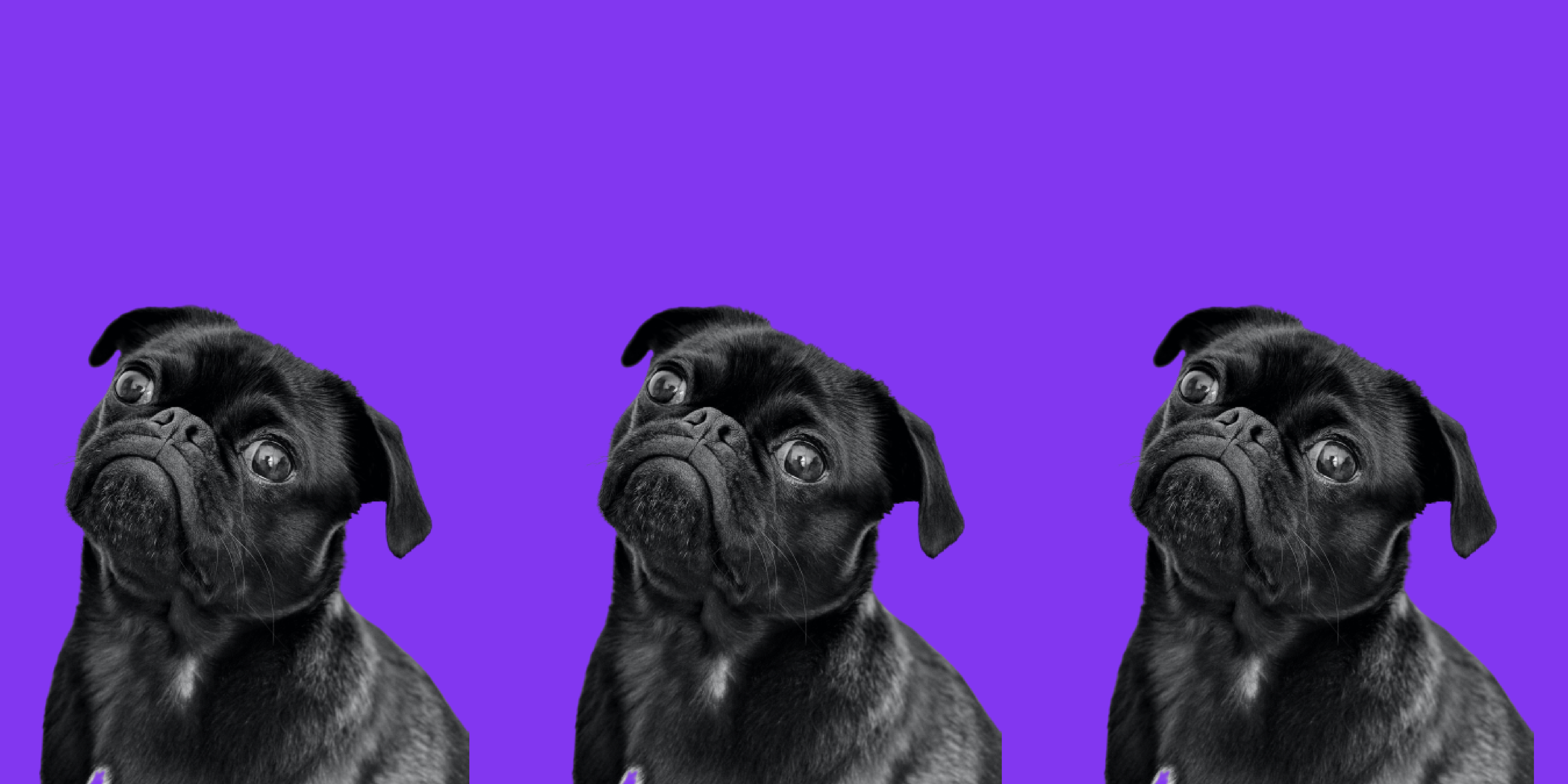 De nieuwste trend is: WiFi-6 (802.11ax) is onderdeel van de nieuwe generatie wifi zenders. Waarom kun je deze generatie wifi voor je kantoor beter kan overslaan?