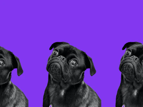 Afbeelding bij artikel Upgrade niet naar WiFi-6 (802.11ax)